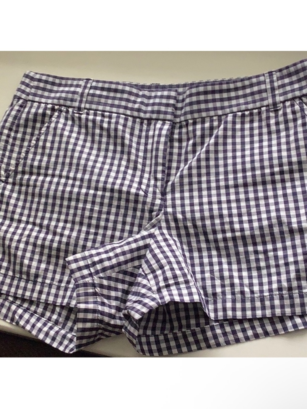 ⛱️🔥J. Crew - Blue Gingham Shorts - 10